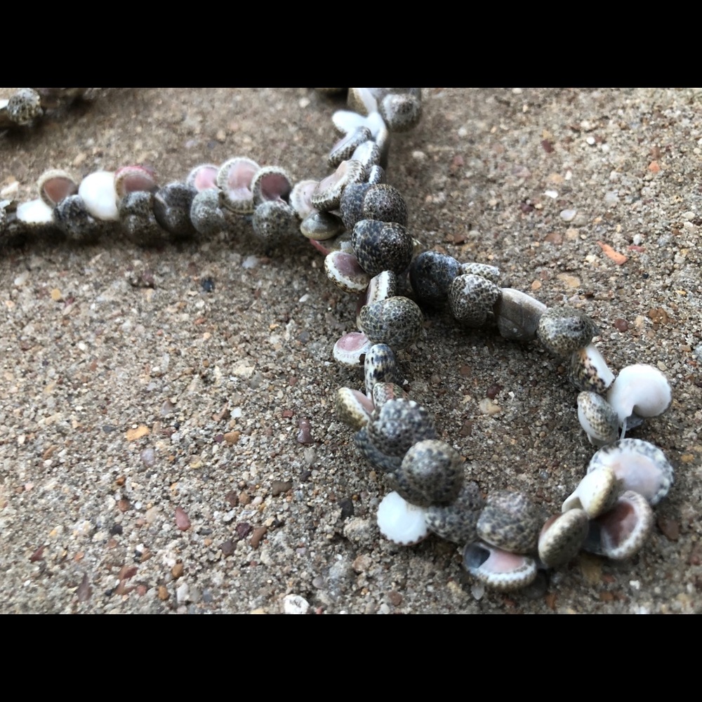 Micro Shell necklace - Picture 2 of 5
